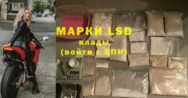 a pvp Абаза