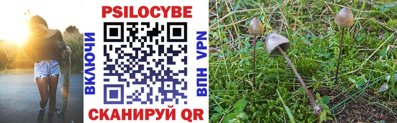 Галлюциногенные грибы Magic Shrooms  Брюховецкая 